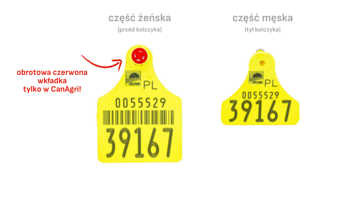 Jak zamawiać kolczyki dla zwierząt? Kolczyk dla bydła FLEXOPLUS F/D Canagri