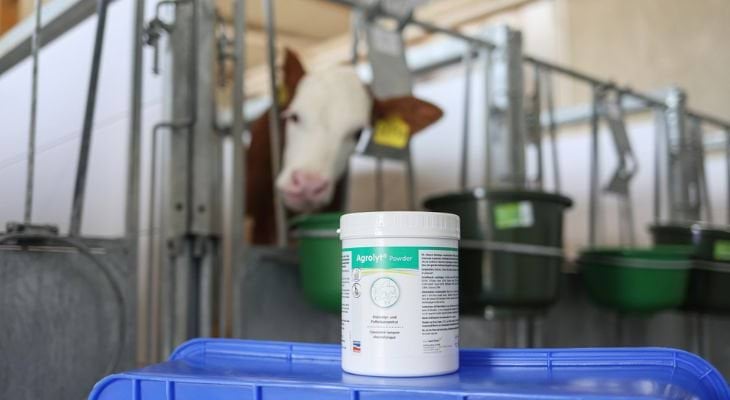 biegunka u cieląt, odwodnienie u cieląt, suplementy dla cieląt, elektrolity dla cieląt, canagri,agrochemica, bakterie e.coli, zdrowe jellita, układ trawienny cielaka, trawienie cielaka, siara dla cielaka, profilaktyka zdrowa cieląt