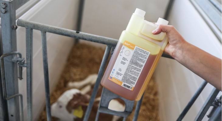 biegunka u cieląt, odwodnienie u cieląt, suplementy dla cieląt, elektrolity dla cieląt, canagri,agrochemica, bakterie e.coli, zdrowe jellita, układ trawienny cielaka, trawienie cielaka, siara dla cielaka, profilaktyka zdrowa cieląt