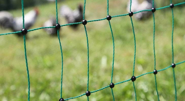 Siatki elektryczne dla drobiu Can Agri